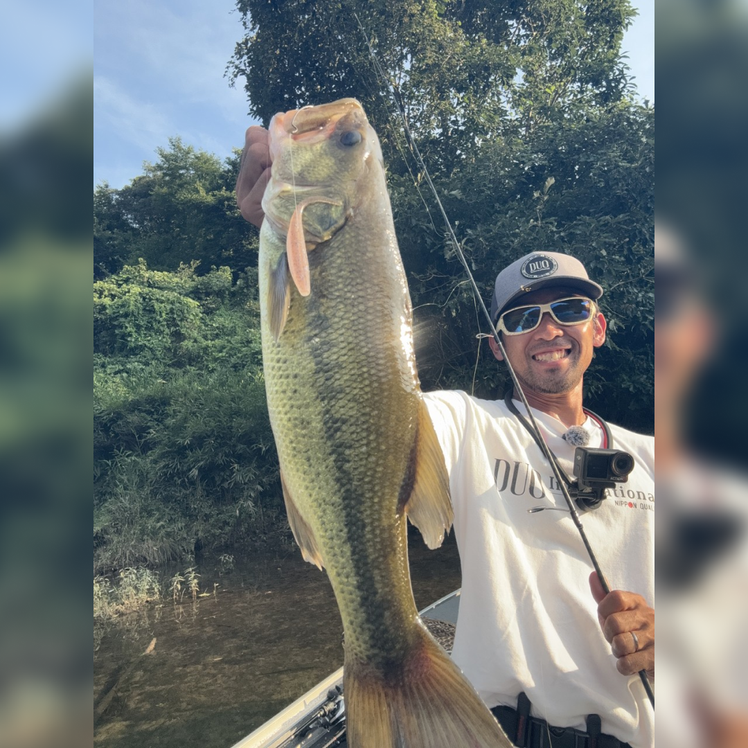 REALIS WRIGGLE CRAWLER 4.8"